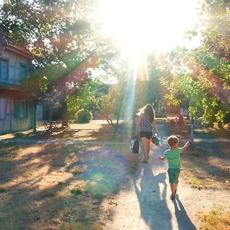 Les Loges De L'ecomusee D'alsace Ungersheim