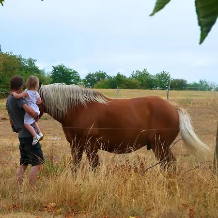 Les Loges De L'ecomusee D'alsace Hotel 3*
