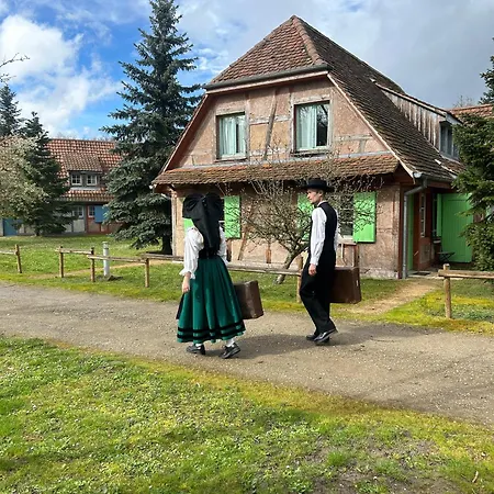 Les Loges De L'ecomusee D'alsace Hotel 3*