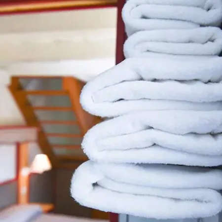 Les Loges De L'ecomusee D'alsace 3*