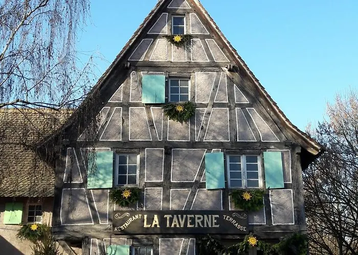 Les Loges De L'ecomusee D'alsace 3*